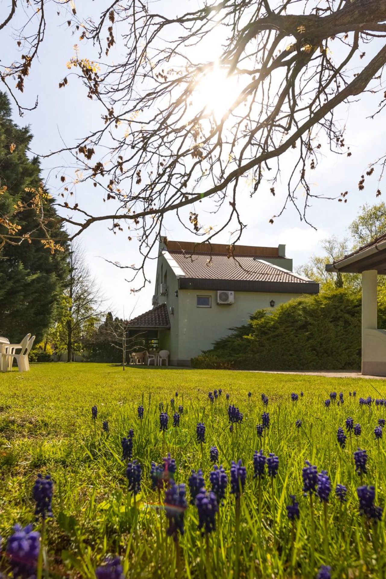 erzsebetapartmanhaz-gyula-008